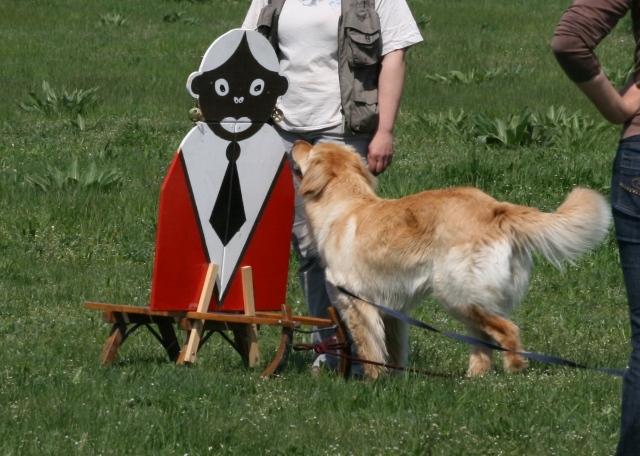a kutyának meg kell szagolni